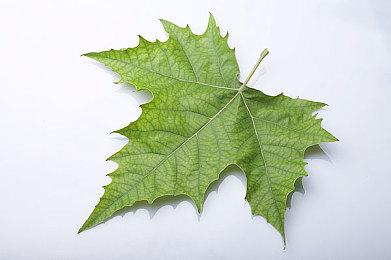 B社对《星空》销量信心满满：预计收入达到9亿美元